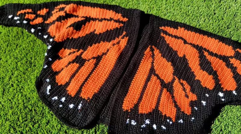 Crochet chart and yarn skeins ready for the Monarch Butterfly Cardigan project