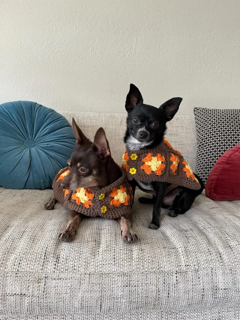 crochet dog pattern featuring retro dog jacket with cozy vintage style for small pet