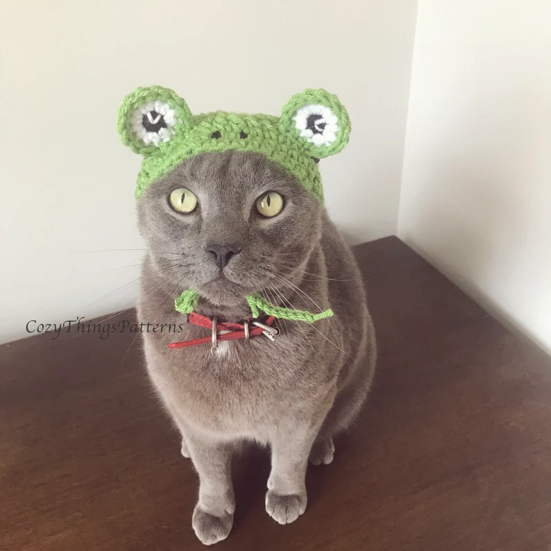 crochet dog pattern and idea for your cat/dog with a cat frog hat