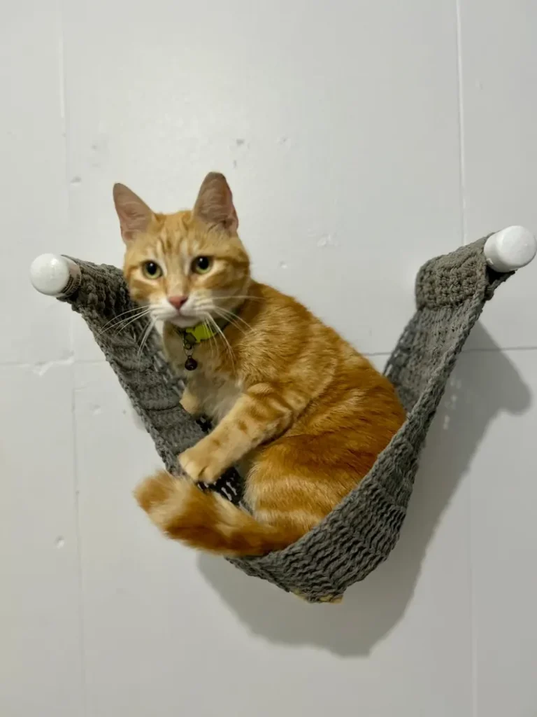 Crochet Cat Hammock Pattern