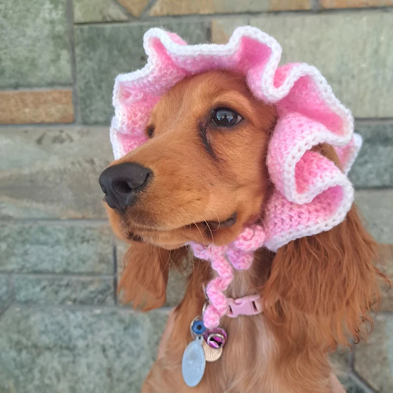 crochet dog pattern featuring crochet dog beanie hat for winter walks and cold weather