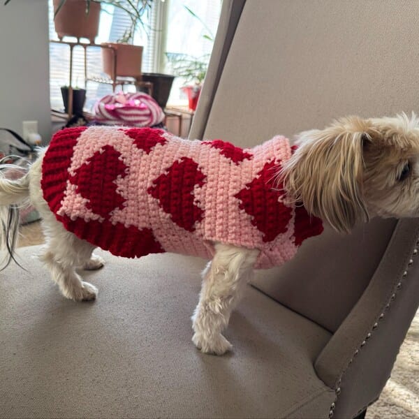 crochet dog pattern featuring heart dog sweater for cozy and romantic pet style
