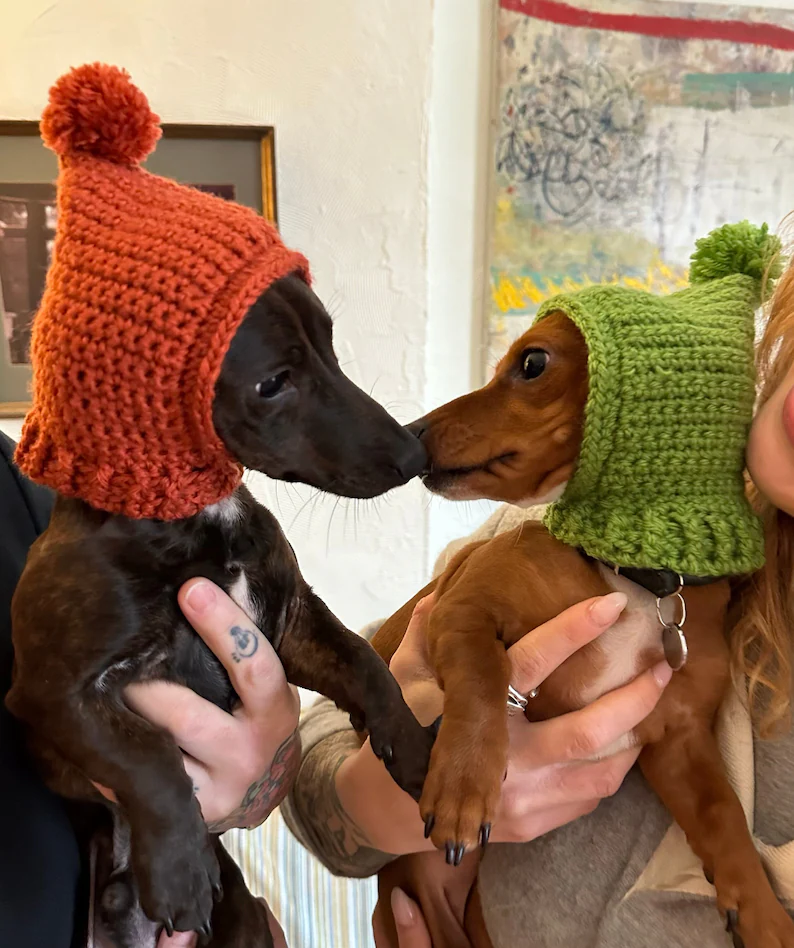 crochet dog pattern with hooded dog accessory for stylish winter pet wear