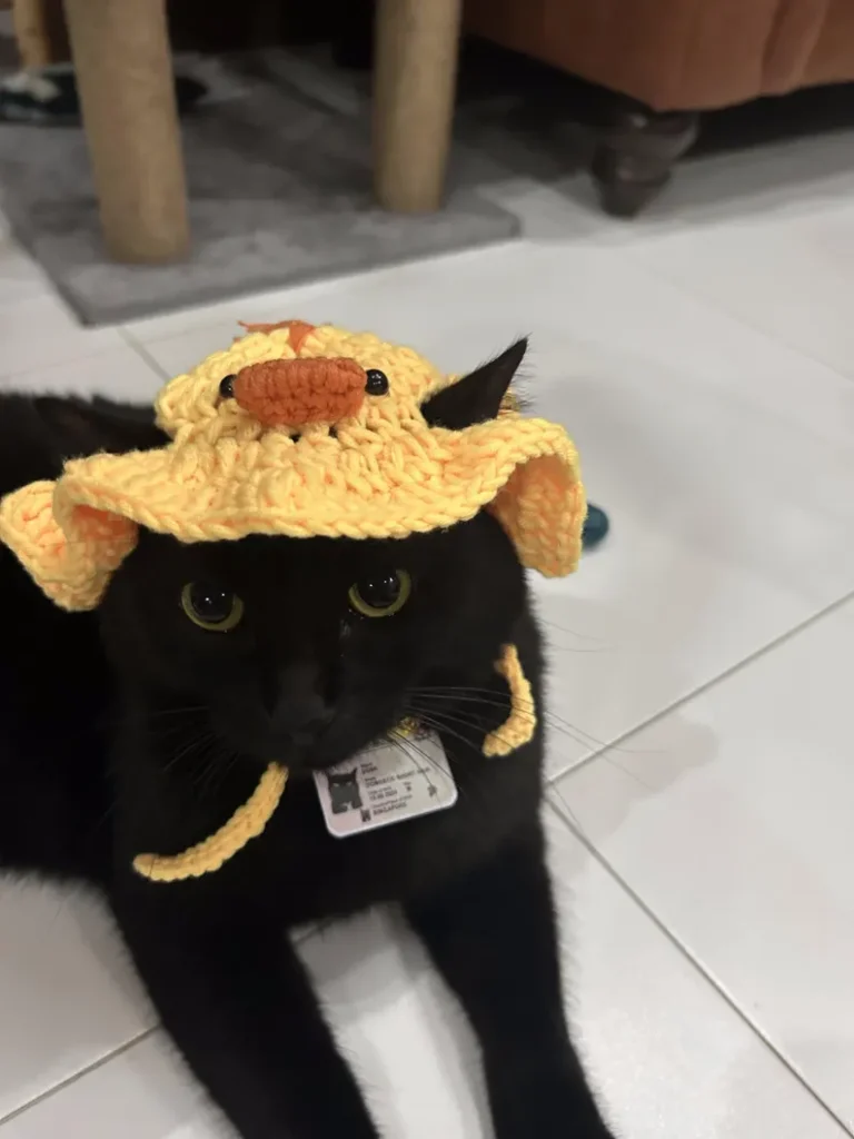 another type of crochet dog pattern with a duck hat