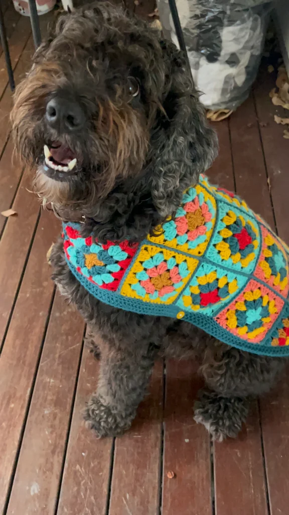 crochet dog pattern showing classic dog sweater with simple handmade design