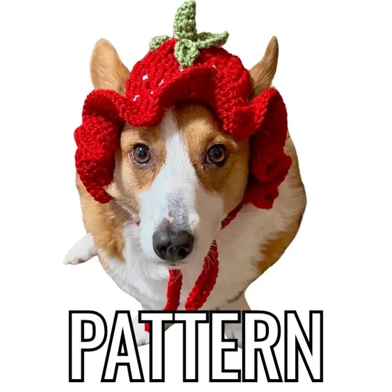 crochet dog pattern featuring strawberry bucket hat for trendy dog fashion