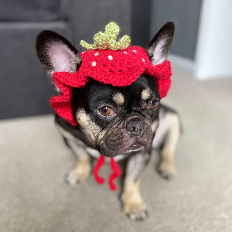 crochet dog pattern with strawberry dog hat and playful handmade pet style
