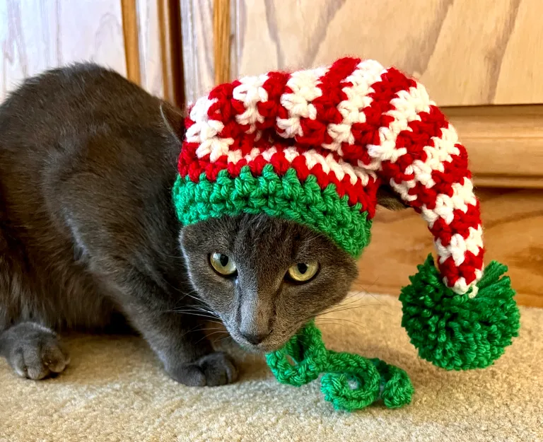 Crochet hat for cat pattern free - Elf Hat