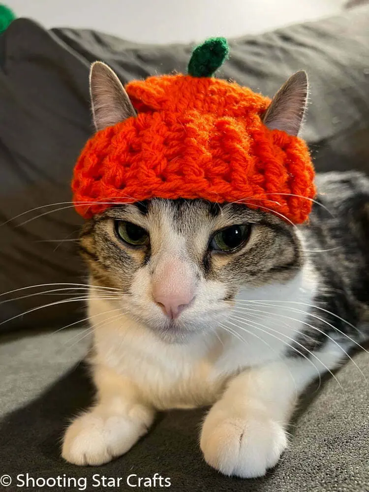 Crochet cat hat pumpkin pattern free