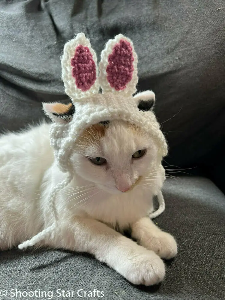 Crochet Hat for Cat Pattern Free - Bunny Hat