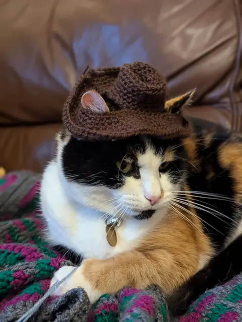 Cowboy crochet hat for cat pattern free
by Rhubarb & Thyme