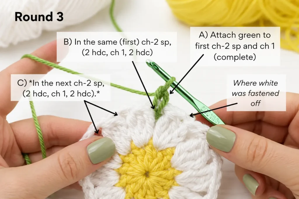 Round 3 of daisy crochet coaster pattern with green yarn worked into ch-2 spaces to start the petal round