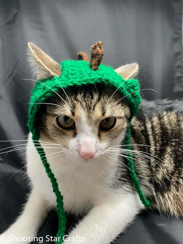Crochet hat for cats pattern free - Dinosaur Cat Hat