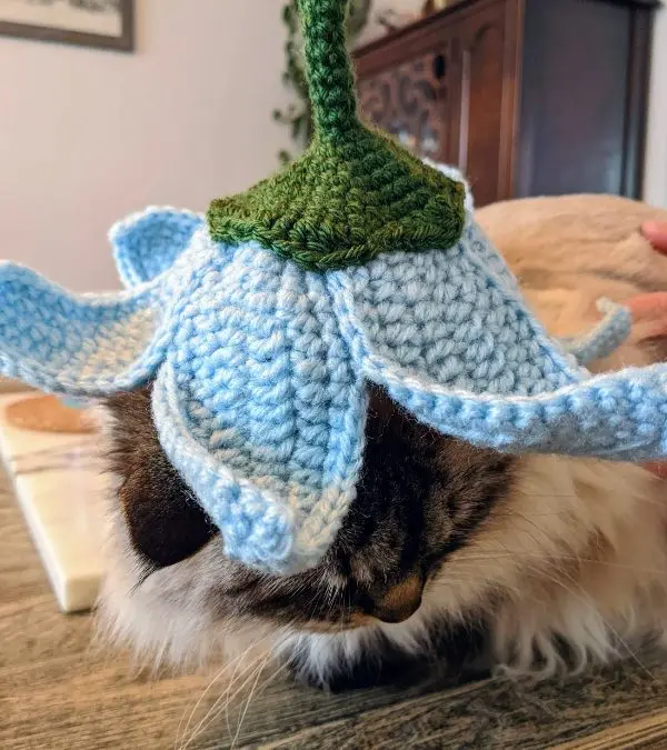Crochet Flower Hat for Cat Pattern Free