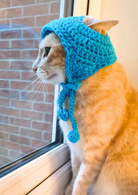 A simple and classic hat for cat pattern free